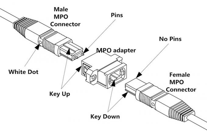 Type de câble de tronc de la fibre MPO de PVC LSZH 8/12/24 SM millimètre de polarité de B 1
