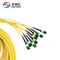 Customized MPO / MTP Female Fiber Trunk Cable Single Mode 96 Core Polarity B